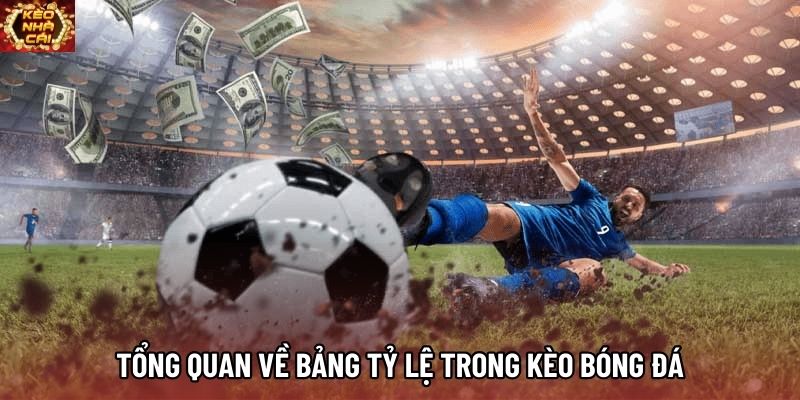 Tổng quan về bảng tỷ lệ trong kèo bóng đá Tổng quan về bảng tỷ lệ trong kèo bóng đá